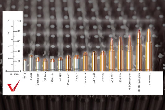 Ammo Caliber Size Chart